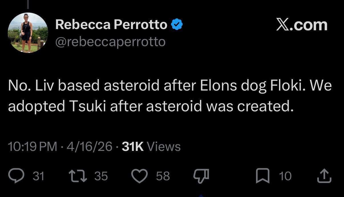 Asteroid Floki CTO